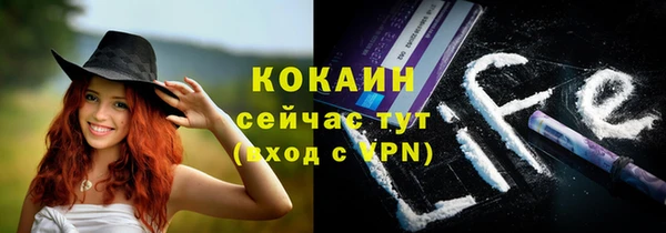 шишки Алзамай