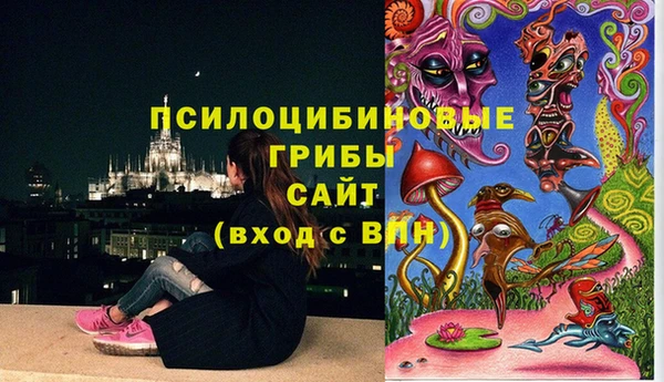 шишки Алзамай