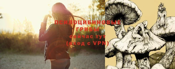 шишки Алзамай