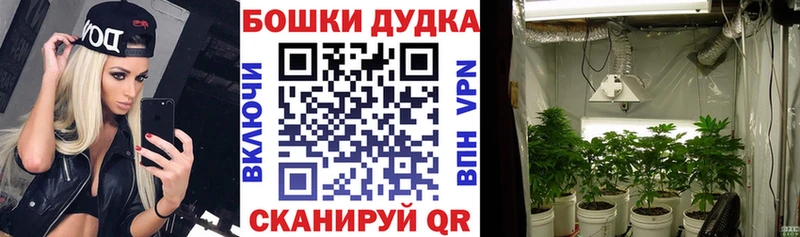 купить наркоту  Хвалынск  blacksprut зеркало  Бошки Шишки MAZAR 